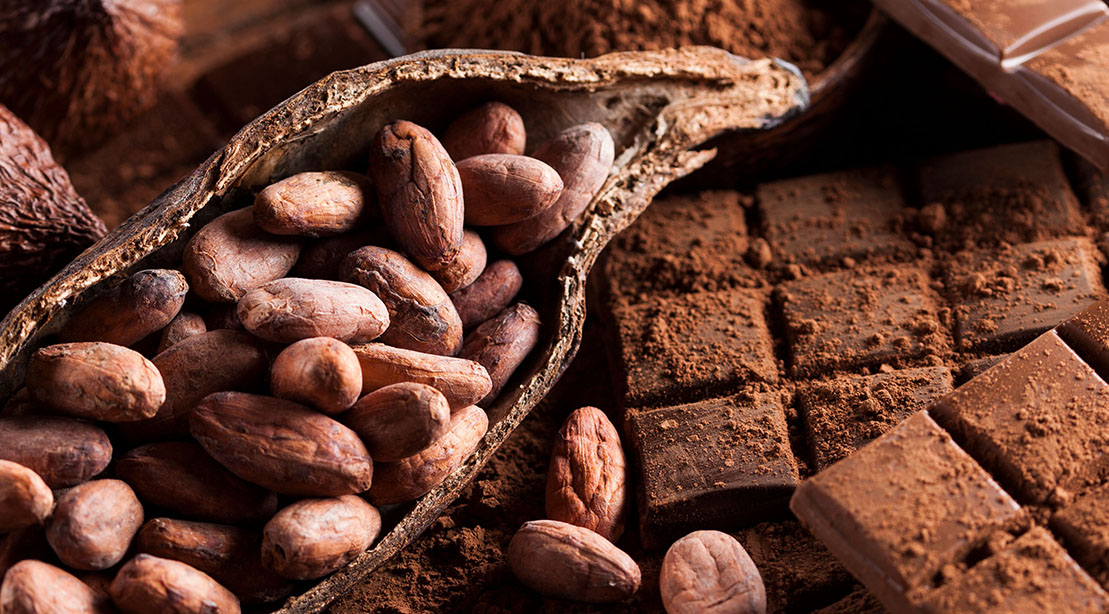 A Healthier chocolate created from the cocoa fruit